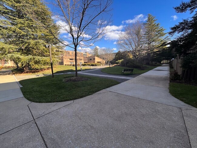 Courtyard - 807 N Howard St