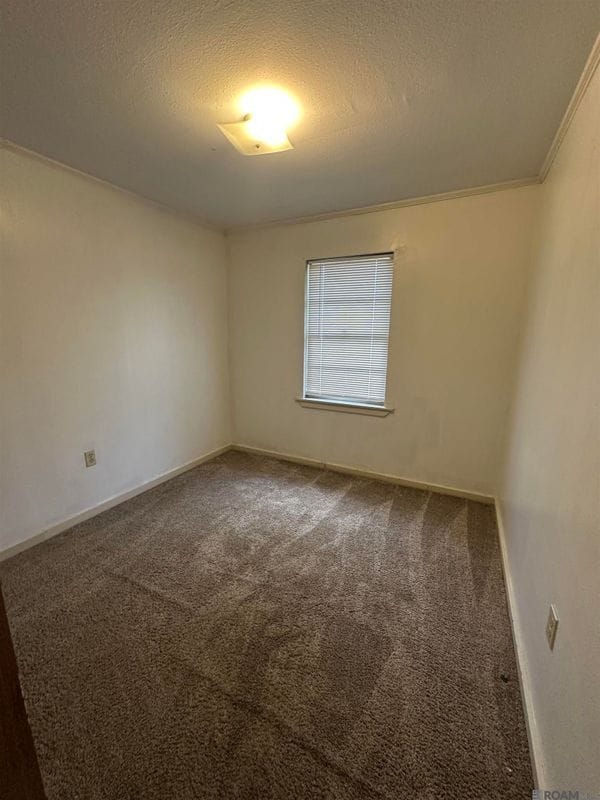 Building Photo - 334 Maryland Ave