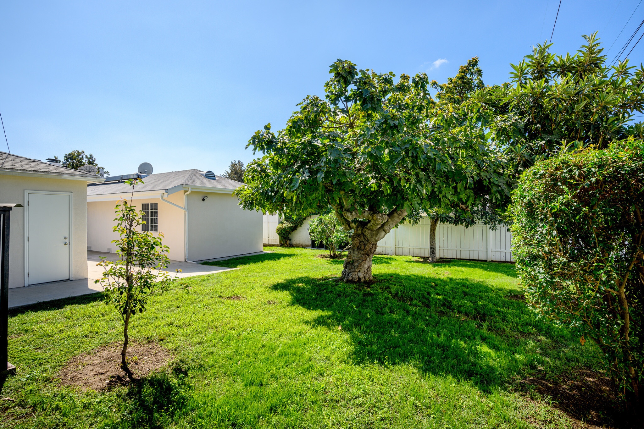 Building Photo - 905 Graynold Ave