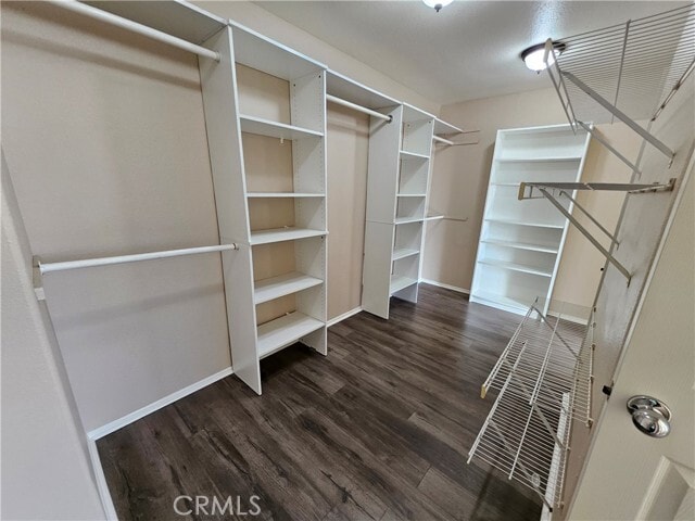 Building Photo - 4120 Forest Highlands Cir