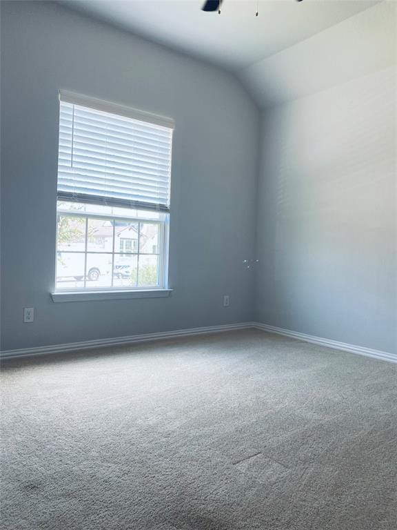 Building Photo - 1009 Sundrops St