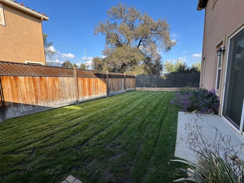 Backyard - 2020 Brentwood Pl