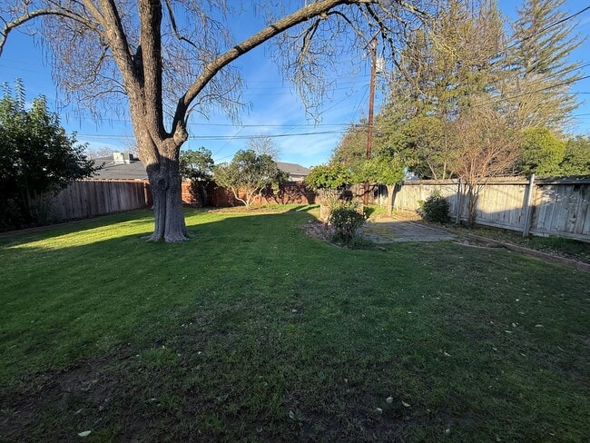 Building Photo - Spacious 2 bed 1 bath available now!