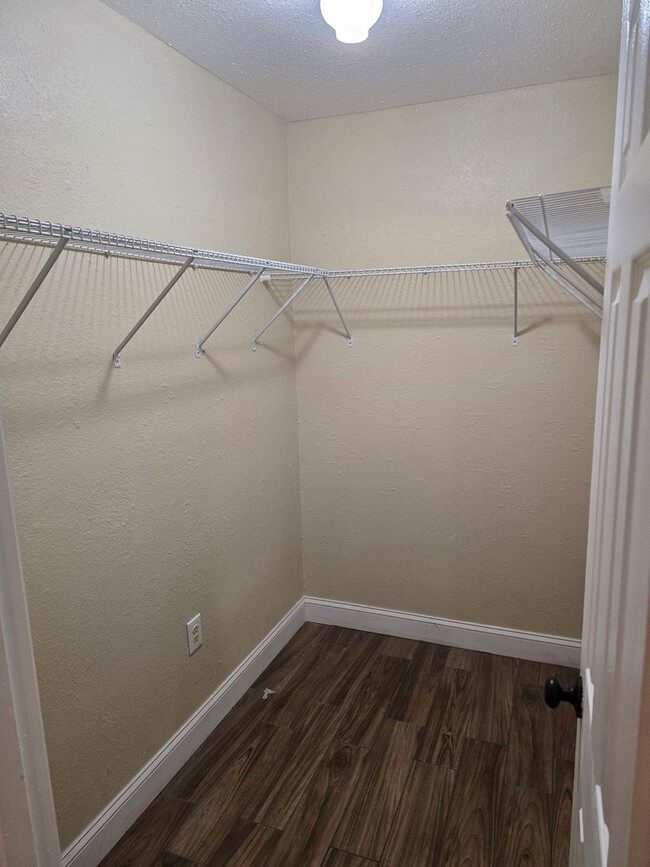 Building Photo - Gorgeous 3/2/1 on Large Property