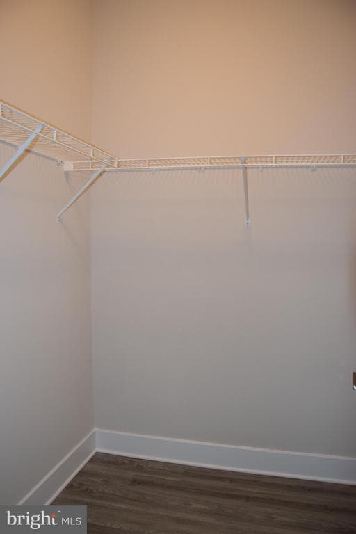 Building Photo - 2915 Osprey Way