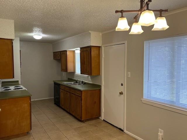 Building Photo - 806 Phillips Dr