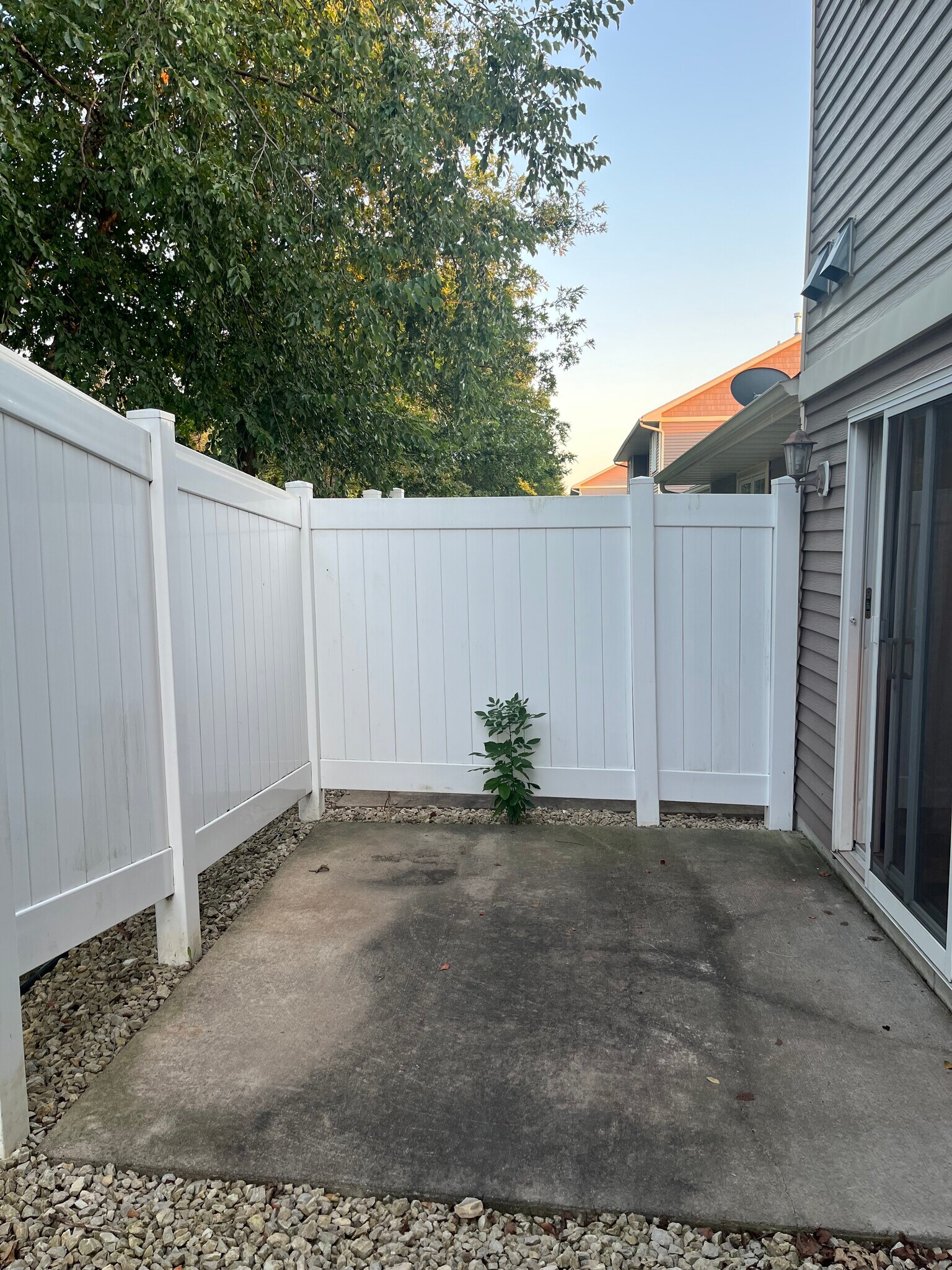 Patio - 1736 Bennett St