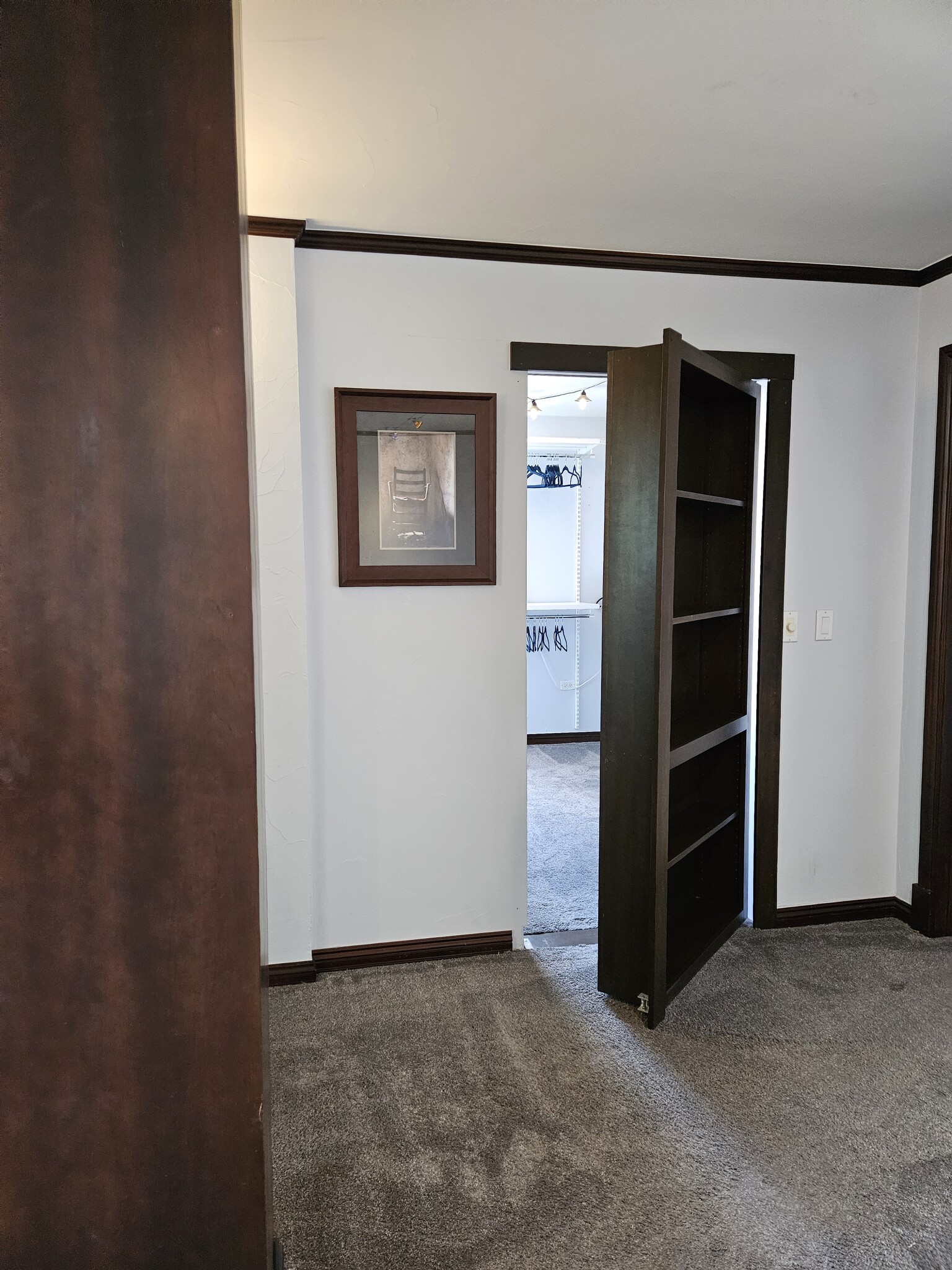 Custom Hidden Door/Bookshelf - 1020 15th St