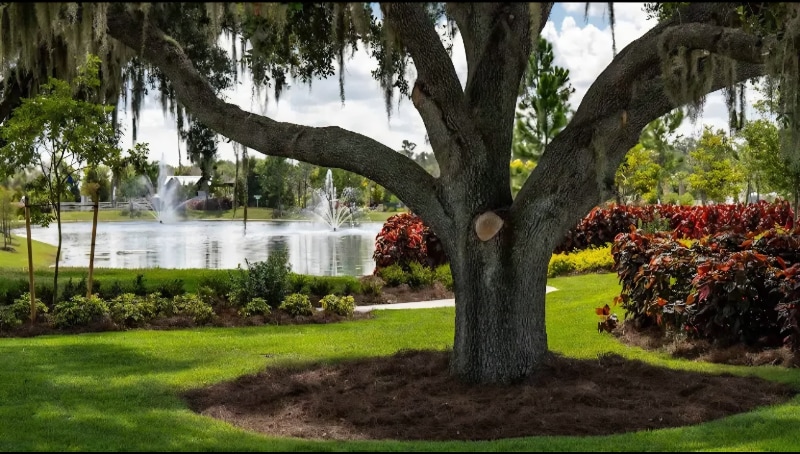 Building Photo - 3917 Harvest Hearth Pl