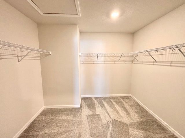 Building Photo - 4538 Emprise Way