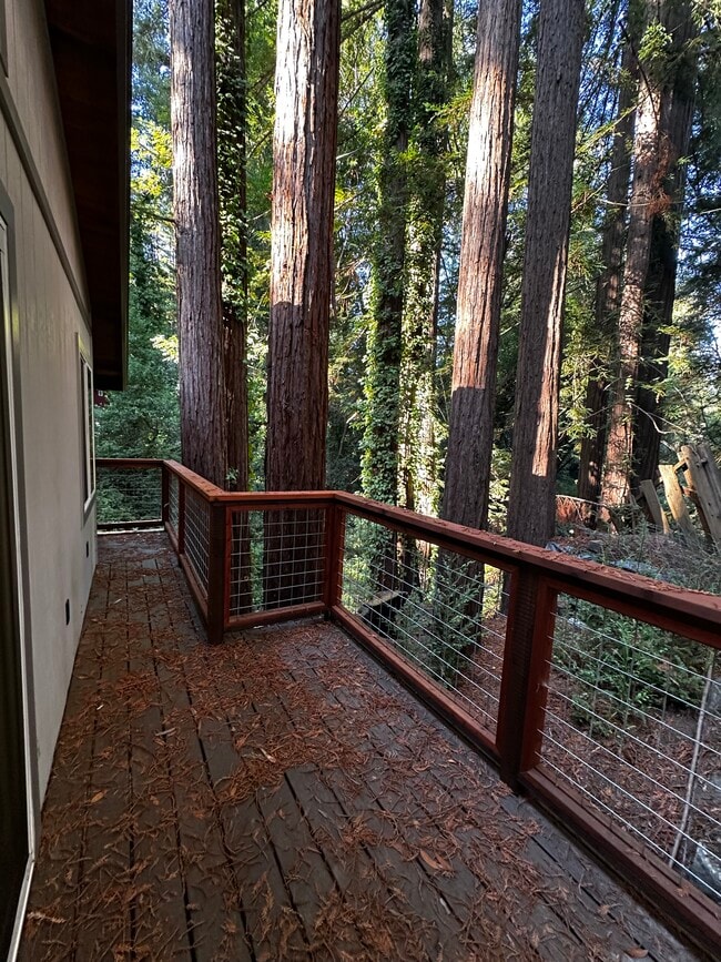 Building Photo - 206 Sequoia Rd