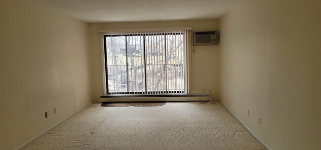 Building Photo - Downtown Wayzata Condo for Rent