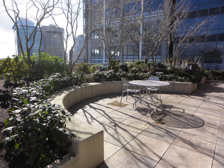 Rooftop meditation garden - 819 Virginia St