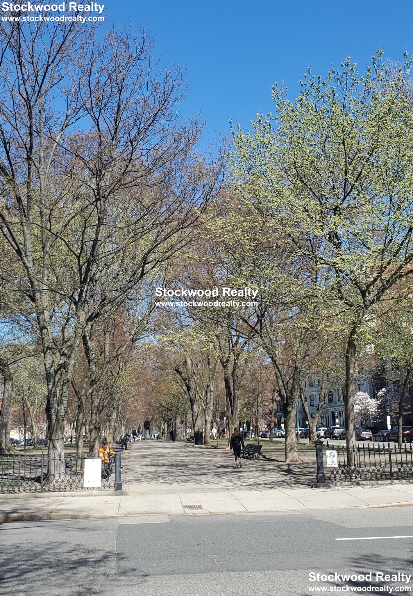 Building Photo - 195 Commonwealth Ave