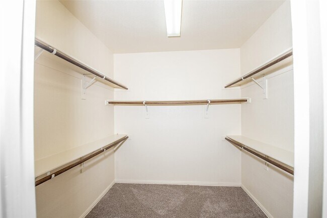 Building Photo - 1129 Dover Pl