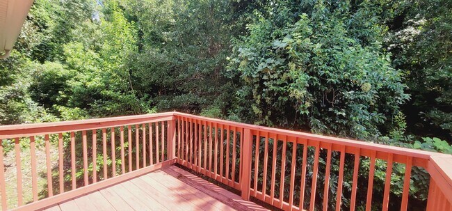 Building Photo - 2300 Timber Oak Ln