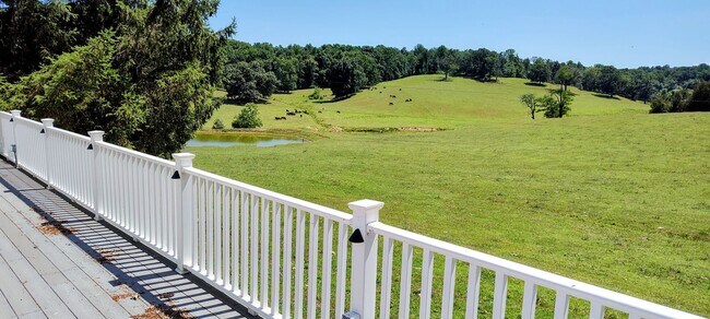 Building Photo - JARRETTSVILLE SINGLE FAMILY HOME ON WORKING FARM