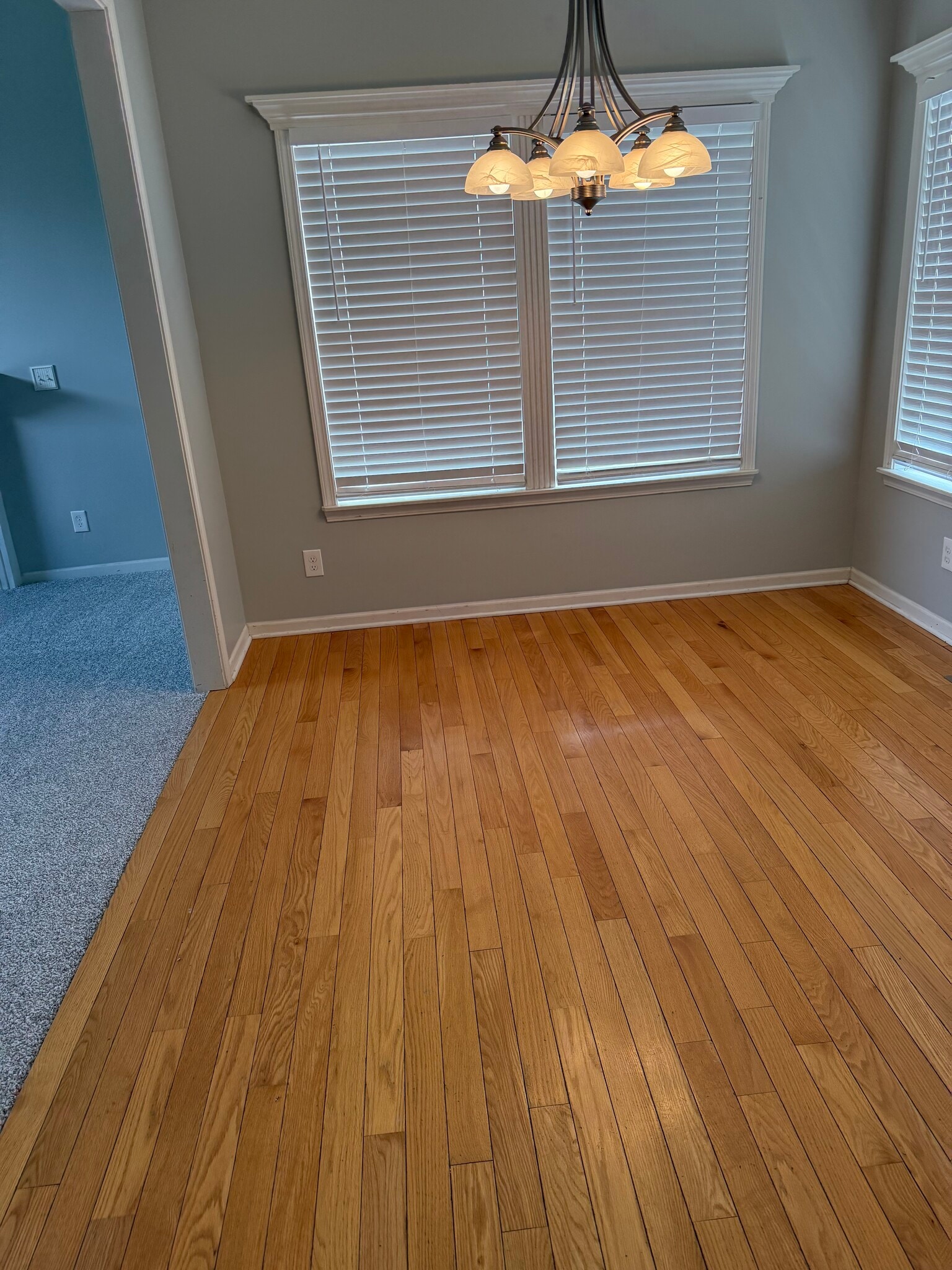 Building Photo - 733 Fir St