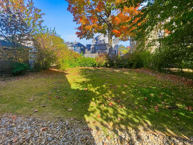 Building Photo - 19 Stearns Ave