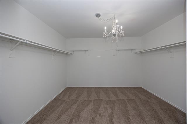 Building Photo - 5828 Pebble Ridge Dr