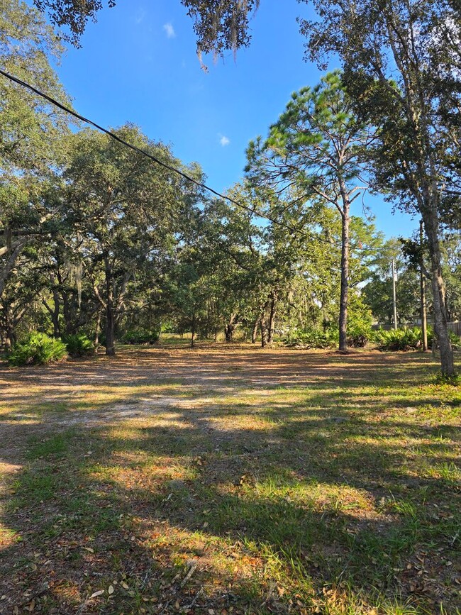 Building Photo - Amazing 3/2 on Six Acres of Land in Homosa...