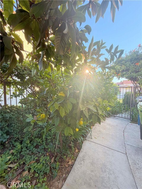 Building Photo - 19571 Turtle Ridge Ln