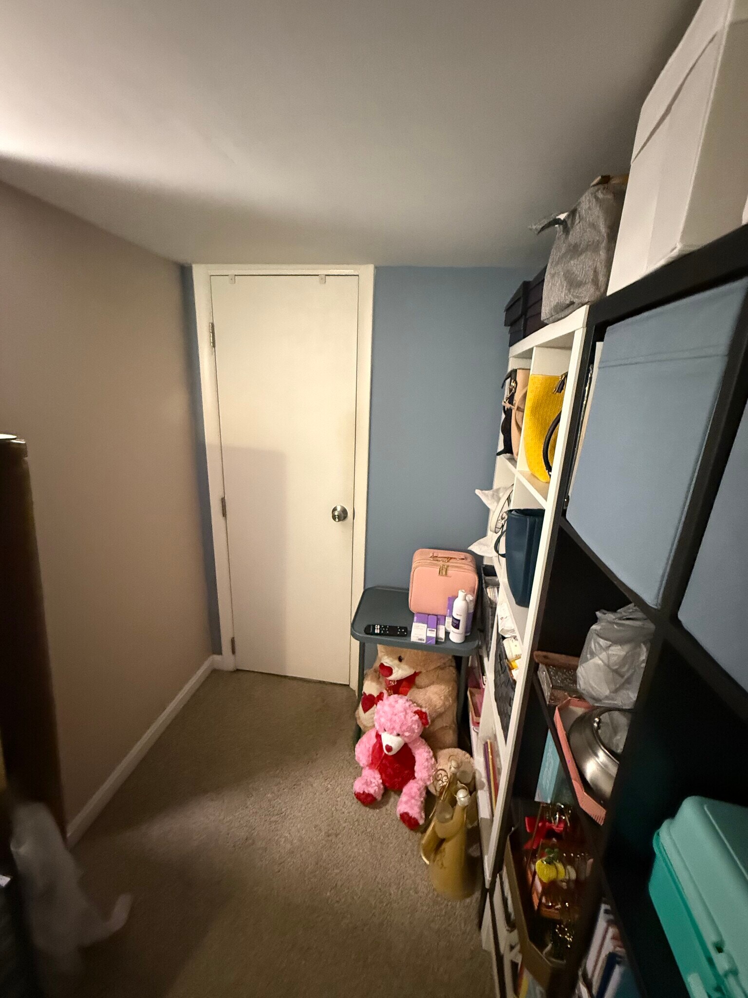 Basement - 6264 Ducketts Ln