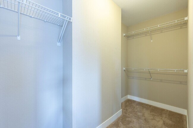 Building Photo - 6bd/4.5 bath home in Southwest Longmont!