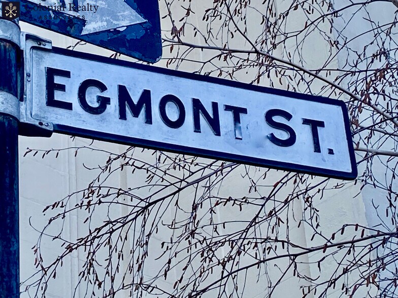 Building Photo - 66 Egmont St