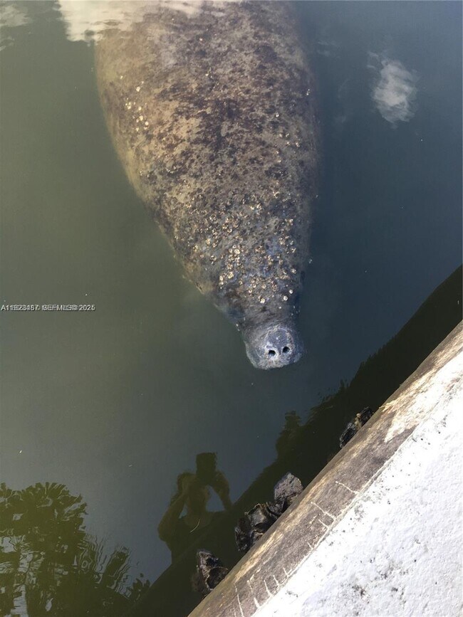 Building Photo - 5151 N Hwy A1A