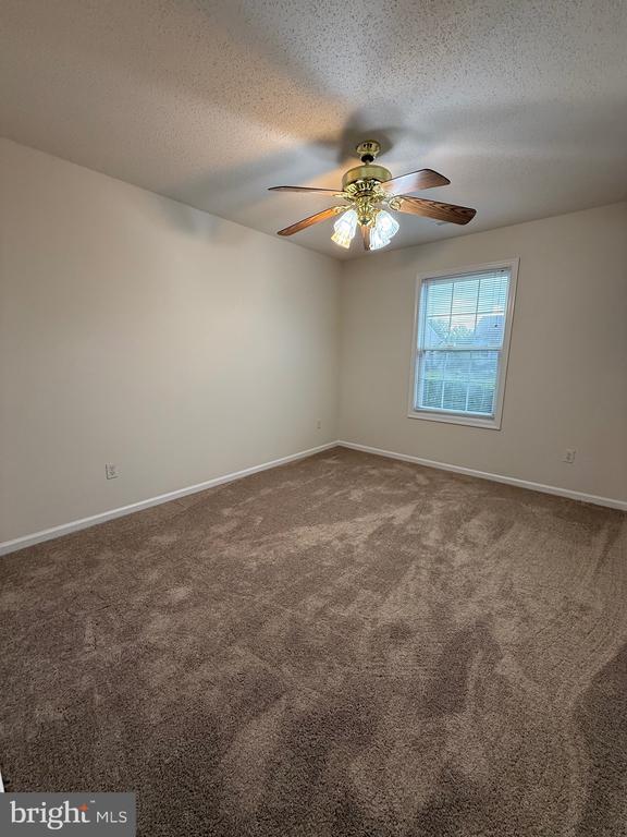 Building Photo - 11707 Collinwood Ct