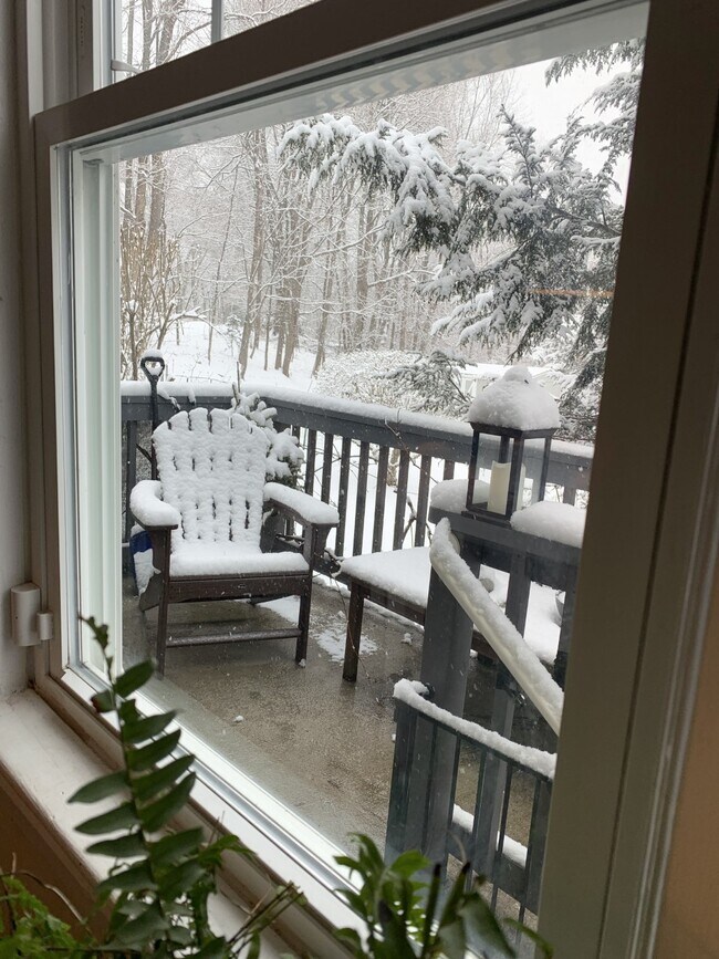 Back Porch - 77 Bedford St