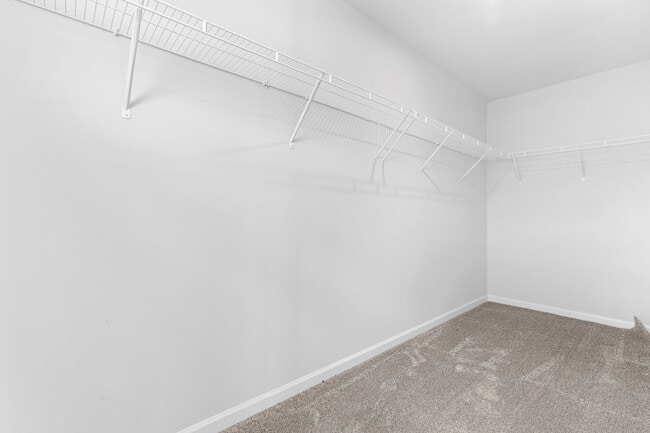 Building Photo - 252 Shingle Oak Rd