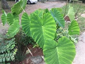 Building Photo - 48 Grisham Dr