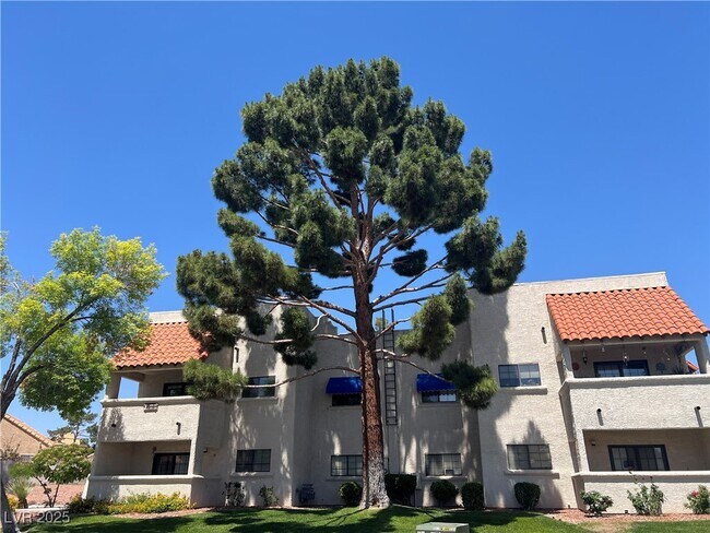 Primary Photo - 101 Luna Way