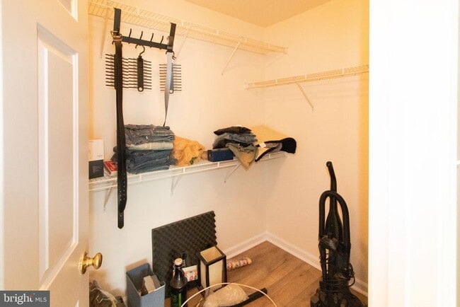 Building Photo - 7505 Calderon Ct