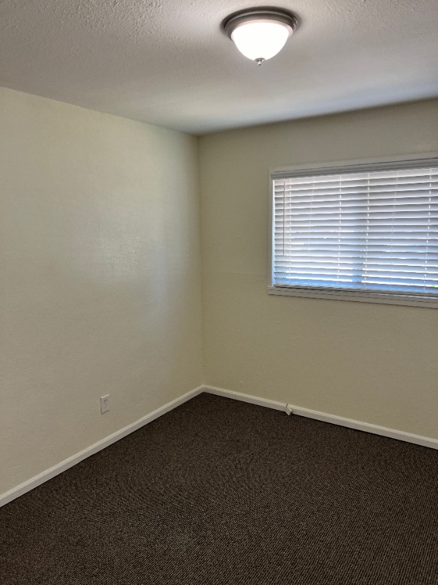 Building Photo - "Charming 3-Bed Retreat in Aurora!"