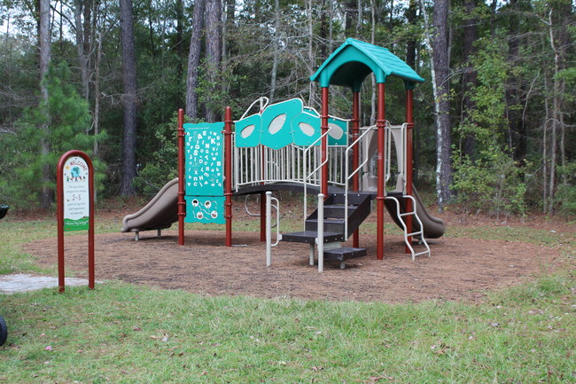 Building Photo - 87 Tiller Way