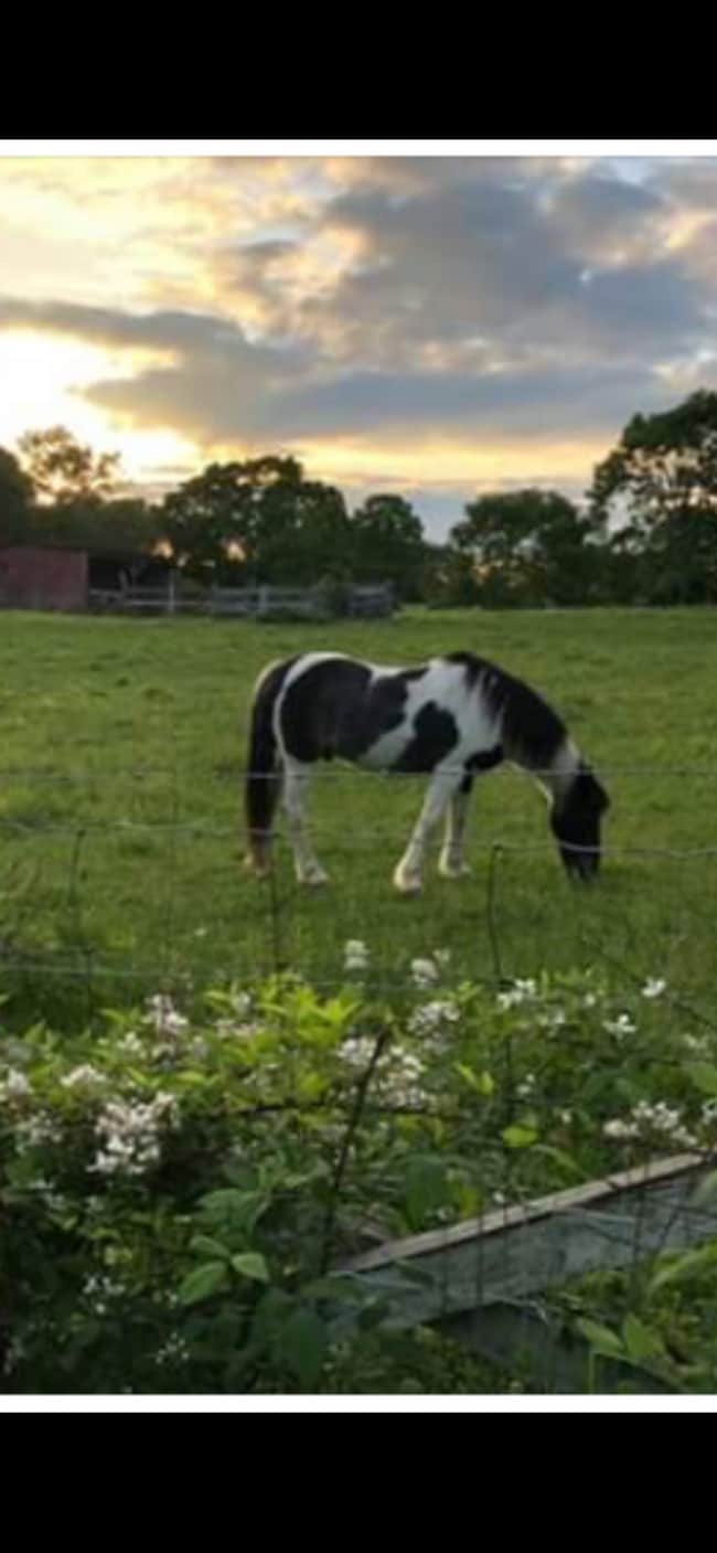 Building Photo - 9097 Griffith Rd