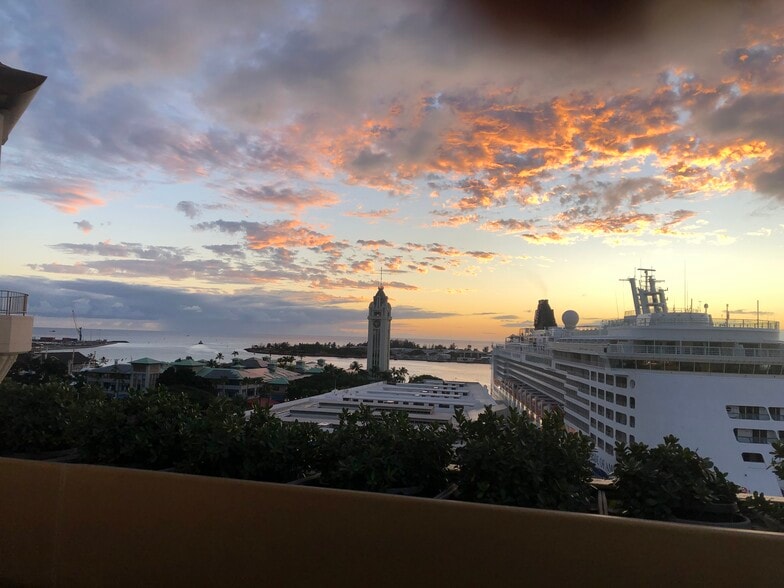 Pool deck - 66 Queen St