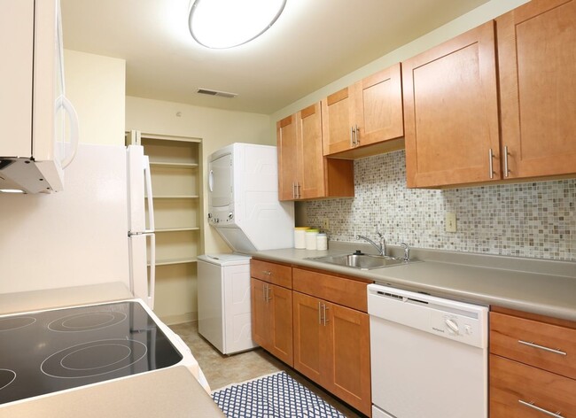 Building Photo - Two Bedroom Contemporary Style Apartment on the First Floor