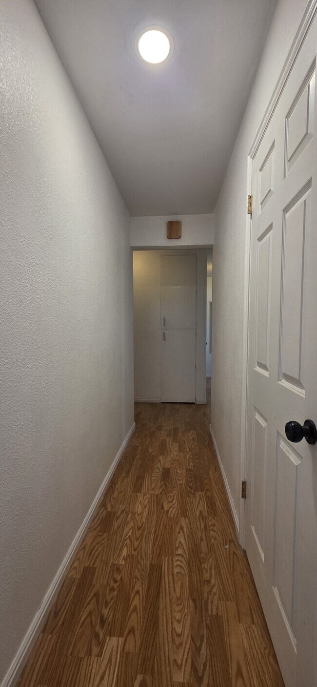 Building Photo - 2713 Dill Dr