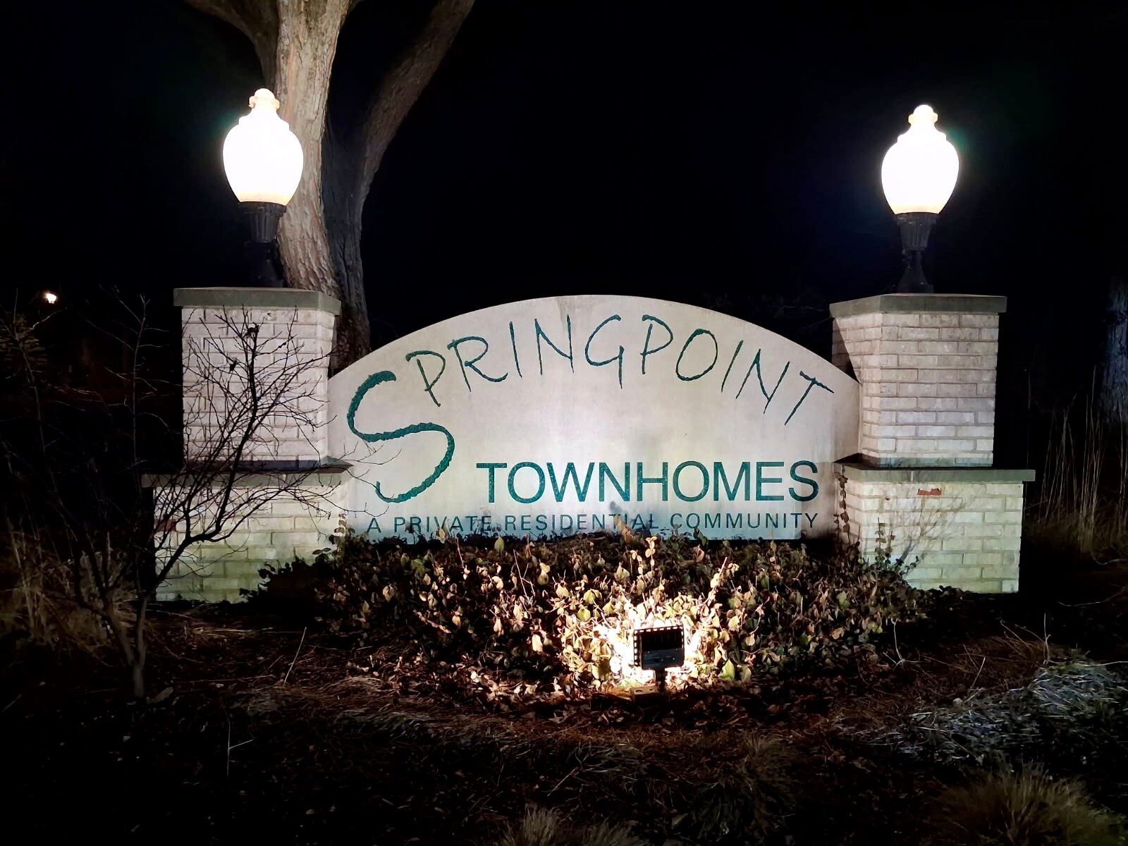 Building Photo - 203 Spring Point Dr