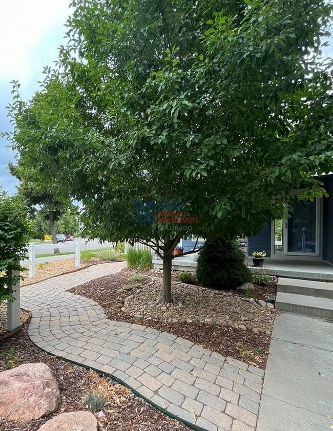 Building Photo - 1996 Windom Pl