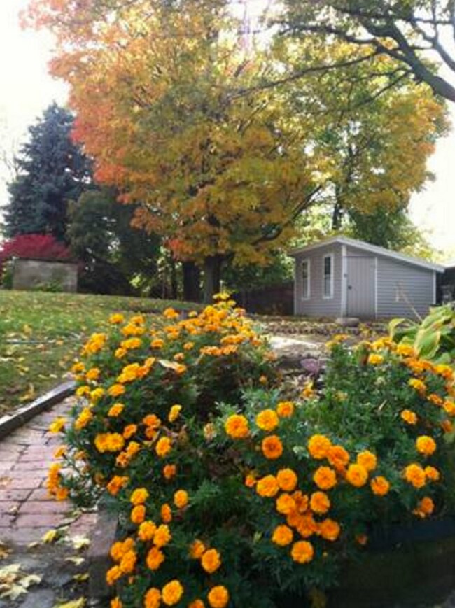 Yard - 265 Common St