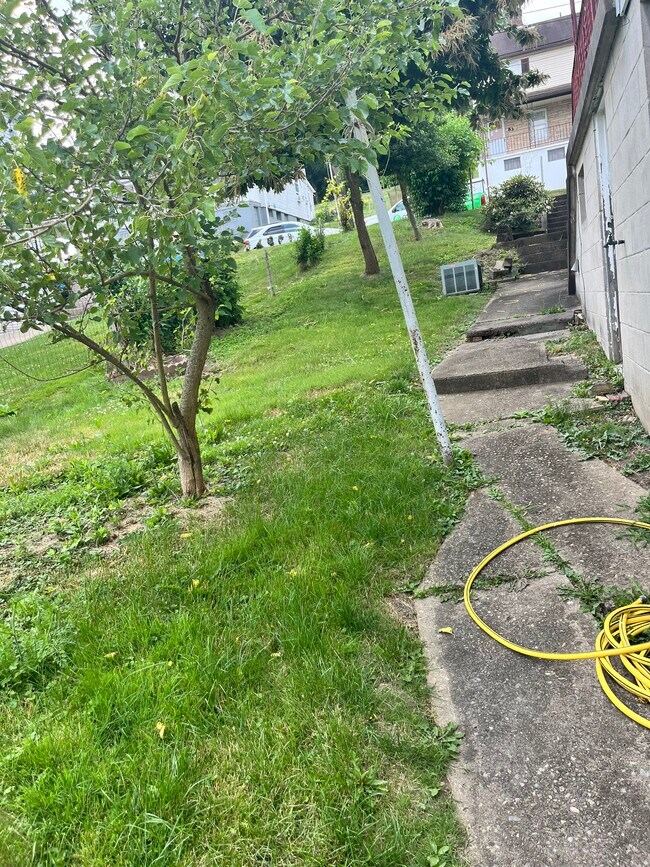 Yard - 86 Beech St