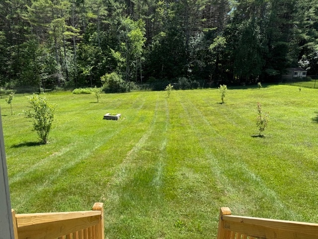 Back Yard - 178 New Lenox Rd