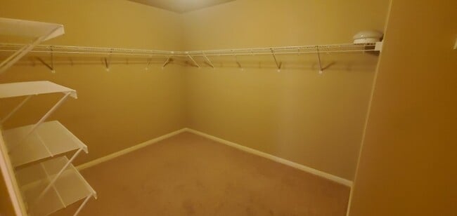 Building Photo - 249 Nomad Ln