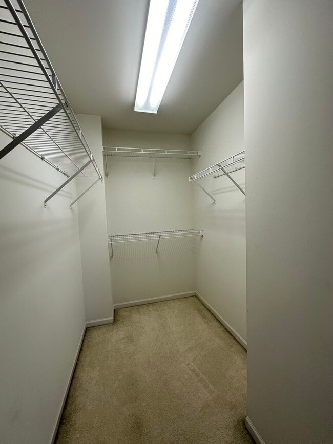 Building Photo - 2462 Emily Ln