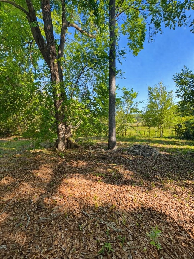 Building Photo - 2621 Village Green Ln